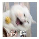 DƬ